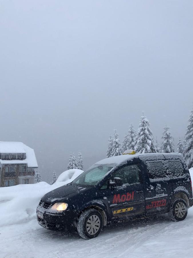Vila Planinsko Blago Kopaonik Extérieur photo